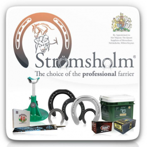 Bhupinder Singh - Stromsholm