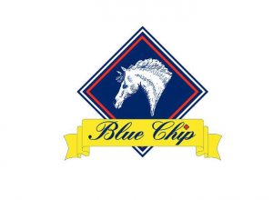 Jem Clay - Blue Chip Feeds