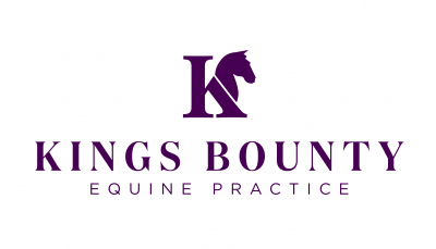 Kings Bounty Equine