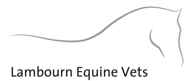 Lambourn Equine Vets