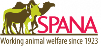 Harnessing Consultant