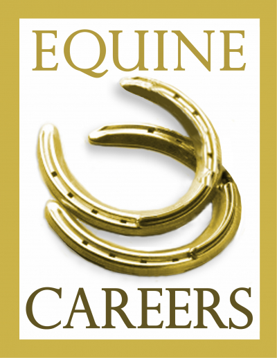 Head of Sales