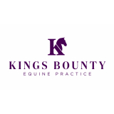 Kings Bounty Equine