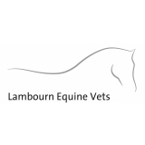 Lambourn Equine Vets