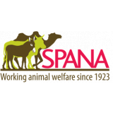 Harnessing Consultant