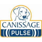 Canissage