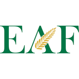 EAF Group