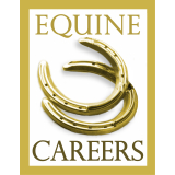 Part Time Sales Manager / Sales Agent
