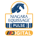 Niagara Equissage International