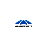 Sales Executive