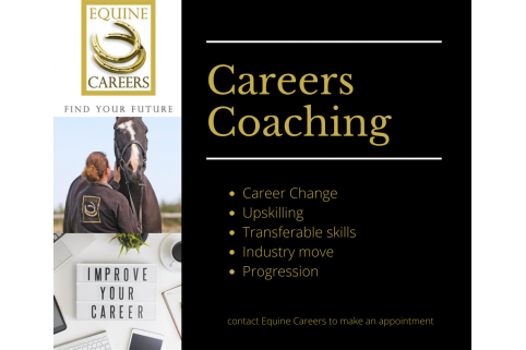 Careers Coaching
